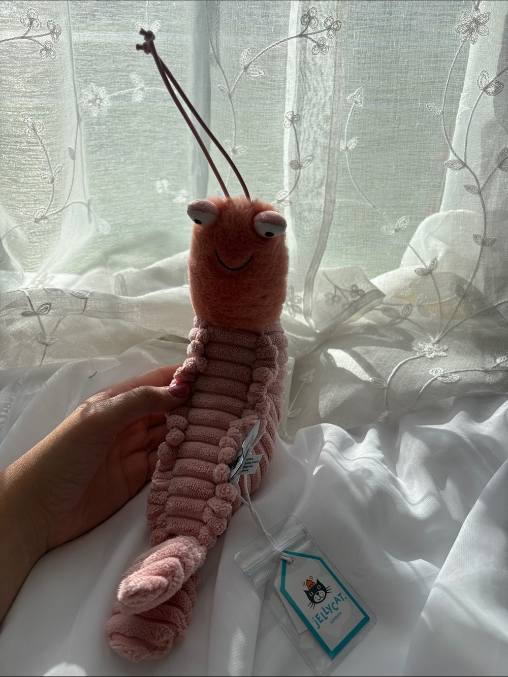 Sheldon shrimp Jellycat